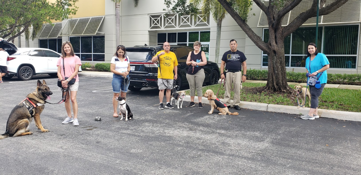 Group Dog Training in South Florida (Coral Springs, Parkland Coconut Creek)