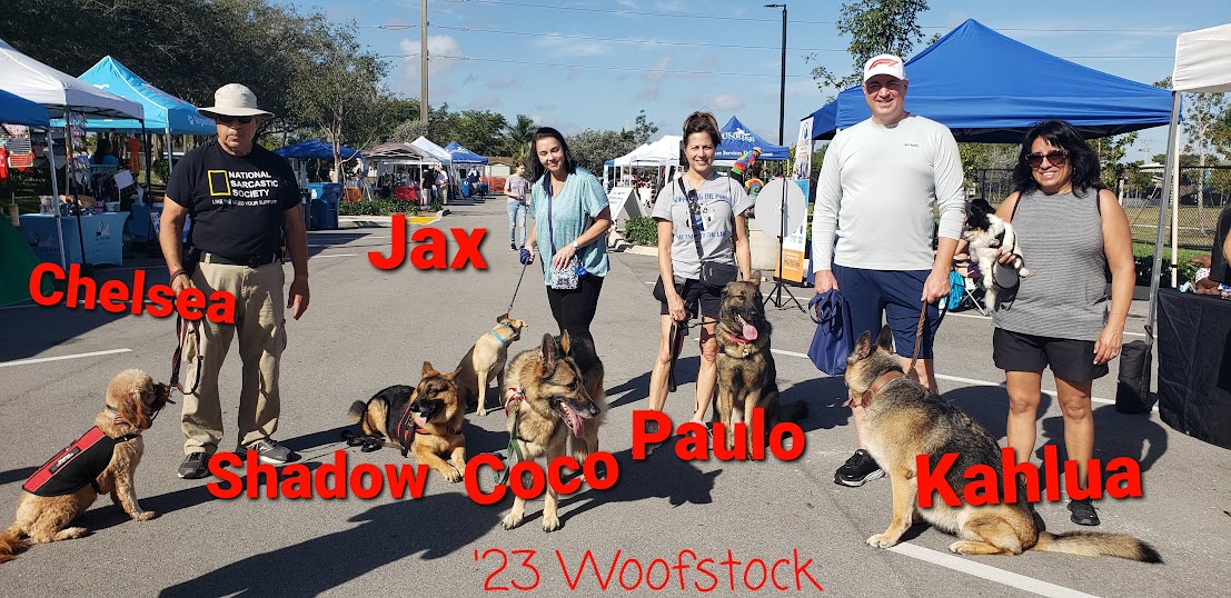 Group Dog Training for the Parkland, Coral Springs, Coconut Creek area